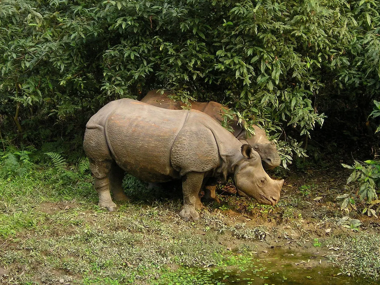 Kathmandu & Chitwan